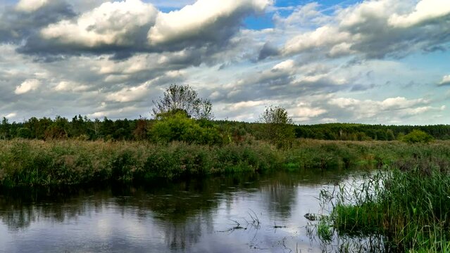 On the Narew River