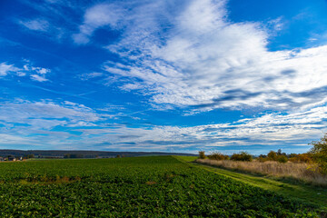 Fototapeta na wymiar Panorama of a field in October autumn with blue sky