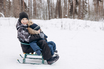 Fototapeta na wymiar Two joyful boys sledding and having fun together. Happy children playing in snow in winter forest. Brothers spending time together