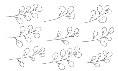 Set of branch with leaves for Christmas or flower design. Vector illustraton.