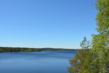Obraz premium Huge forest lake 