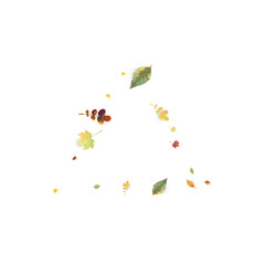 Leaves Falling Autumn Foliage Chaotic Leaf Flying