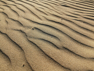 Fototapeta na wymiar natural sand texture.