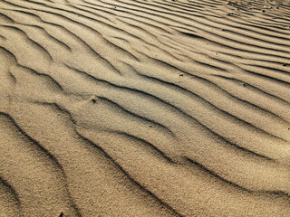 natural sand texture .