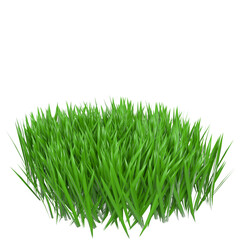 3d rendering illustration of some patches of grass