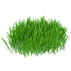3d rendering illustration of some patches of grass
