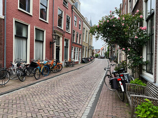 Fototapeta na wymiar Beautiful view of city street with bicycles and pink rose bush