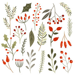 Set of winter plants on a separate white background. Christmas Collection