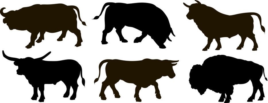Large wild animal buffalo, black and white image.  Vector drawing.