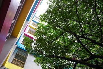 台湾台北のカラフルな建物

