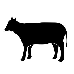 Cow icon