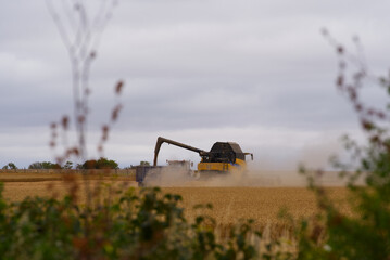 Combine harvester with truck harvesting grain field at Stonehenge on a cloudy summer day. Photo taken August 2nd, 2022, Stonehenge, England.