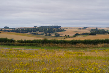 Fototapeta na wymiar Beautiful rural landscape with agriculture fields at Salisbury Plain in Wiltshire on a cloudy summer day. Photo taken August 2nd, 2022, Amesbury, England.