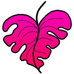 butterfly shape leaf on white background