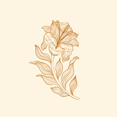Flower lily line hand drawn style. One object vintage design. Elegant plant William Moriss drawing style. - obrazy, fototapety, plakaty