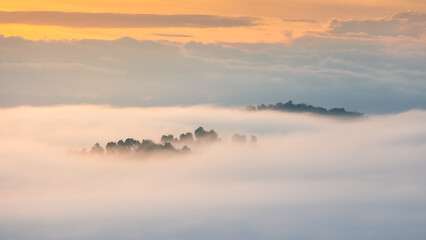 misty morning view, beautiful landscape