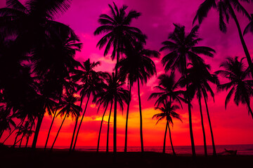 Beautiful colorful sunset on tropical ocean beach with coconut palm trees silhouettes