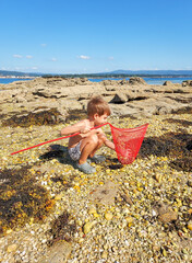 children fishing for crabs with a net