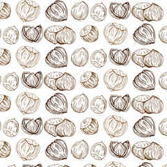 Seamless vector pattern with linear outline hazelnut. Sketches of nuts in vintage style