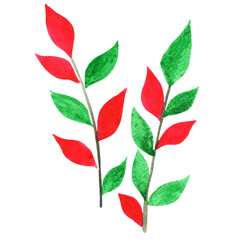 Green and red leaves watercolor illustration for decoration on Christmas holiday event.