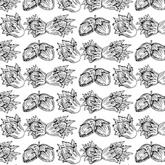 Seamless vector pattern with linear outline hazelnut. Sketches of nuts in vintage style