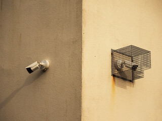 Two CCTV digital small cameras mounted on light yellow wall. One open and one in a metal security cage. Safe and dangerous streets concept. Extra level of protection for professional equipment.