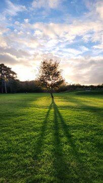 sunset in the field