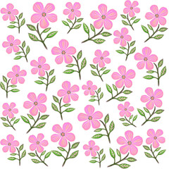 ピンク色の花のイラスト、五弁の花のイラスト