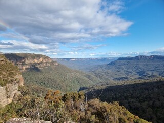 Fototapeta na wymiar View of Australian Eucalypt Forest on the Prince Henry Cliff Track in the Blue Mountains of New south Wales