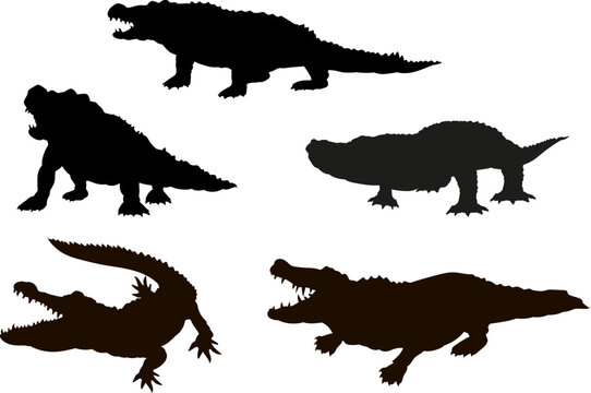 Vector image of a crocodile. Black and white drawing, Emblem.