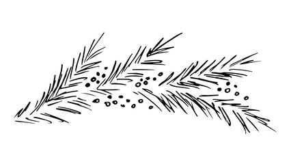 Hand drawn simple black outline vector illustration. Pine, spruce branch, snow. For New Year holiday decor, Christmas design, postcards, labels.