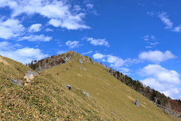 剣山　笹原に覆われた登山道　（徳島県　日本百名山）