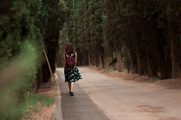 Traveler in the forest