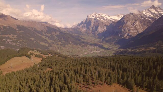 aerial drone footage pushing out over spruce trees with dreamy views of Mount Wetterhorn in distance