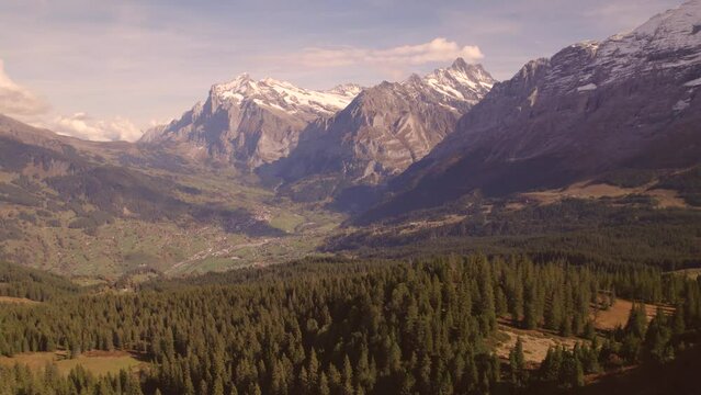 aerial drone footage pushing out over spruce trees in front of Mount Wetterhorn in Grindelwald in the Swiss Alps