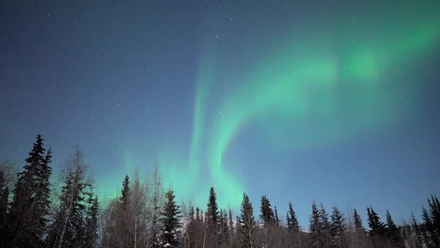 Footage of the green Northern lights in the night sky in Alaska in winter