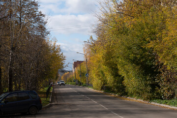 Automobile road in the city with yellow trees in autumn.