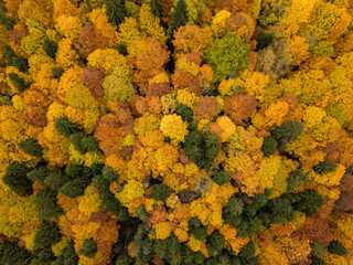 Autumn time in Bulgaria, mountains, Rila