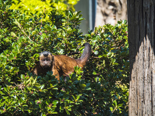 WillowBank_2022