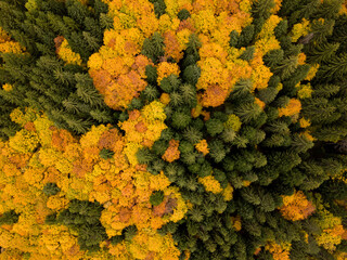 autumn landscape in the mountains, view from drone, bulgaria
