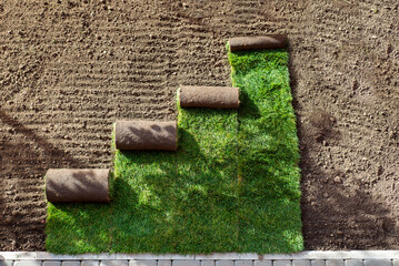 Stack of turf grass for lawn. roll of sod, turf grass roll.