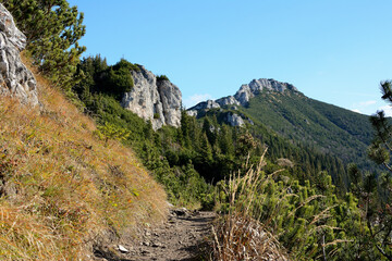 Szlak turystyczny Sivy vrch w Tatrach Zachodnich - obrazy, fototapety, plakaty