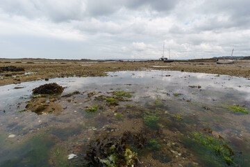 Low tide with reflecting puddle and algae on halfway to the island of Callot, Bretagne, France