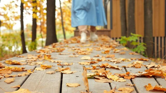 Woman in blue coat walks on terrace wooden floor covered with golden leaves. Female opens front door and enters house on blurred background close backside view