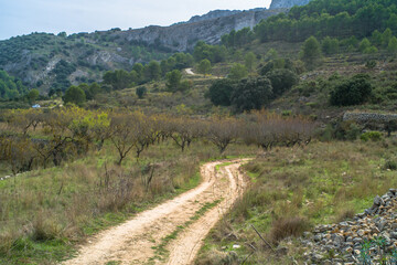 Fototapeta na wymiar Los Arcs hiking path. a tourist route surrounded by greenery, mountains, valleys, natural rock bridges. Ruta and los Arcos de Castillos