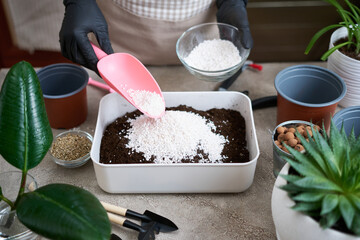 preparation of soil substrate for planting houseplant into a pot