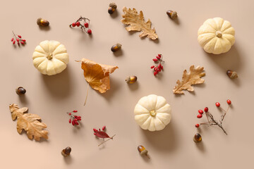 Autumn composition with white decorative pumkins, red berries, barberry, rosehip,dry oak leaves on beige background. View from above. Flat lay.