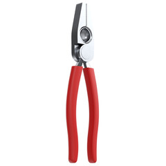 3d rendering illustration of linesman pliers