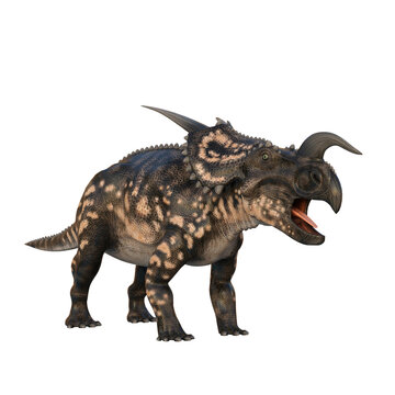 Einosaurus Dinosaur. 3D illustration isolated on transparent background.