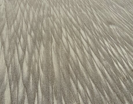 Strandbild. 